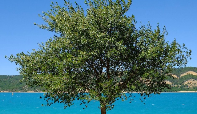 Location Climatisée 1er Étage Avec Espace Extérieur.2 Pers.500m du Lac Ste Croix