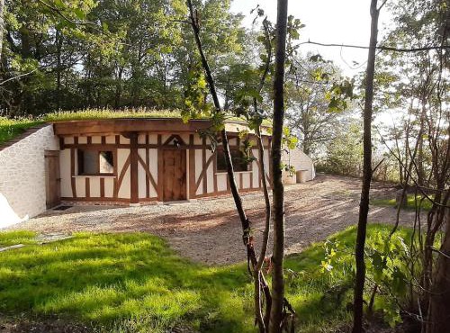 Location Insolite : Maison Hobbit avec Arbre Intégré, à Proximité de Chambord - FR-1-491-375