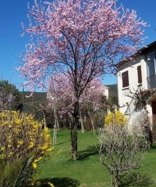 Location Laroque Cévennes