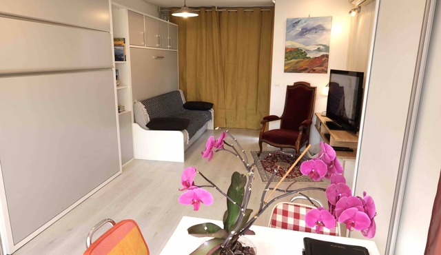 Location Le VISCOS - Kitchen - Living room - Bedroom - Bathroom - SAUNA -