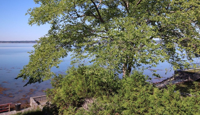 Location, location, location! Private - Waterview - Downtown Cottage