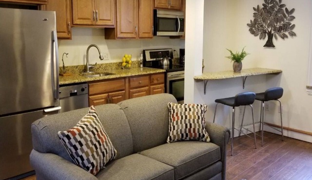 Location, Location! Downtown Luxury 1 Bedroom Apt