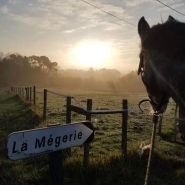 Location maison Mirambeau - 17150