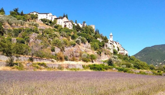 Location provence ventoux sault