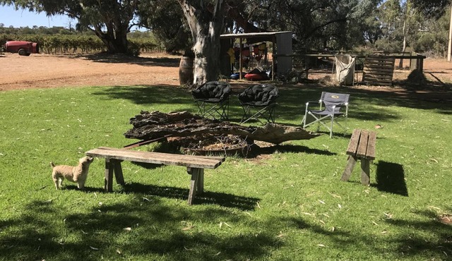 Loch Luna Ecostay Shack