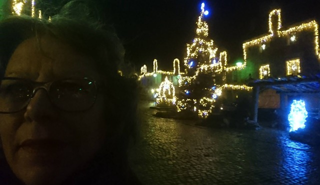 LOCRONAN. Rest between sea and land,; calm, 5mn from the beach.jardin.