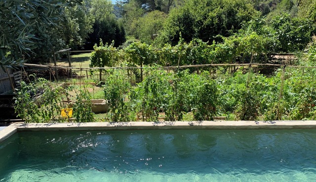 Lodge en pleine nature parc naturel de Alpilles en Provence.