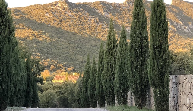 Lodge Hortus Pour 4 Personnes