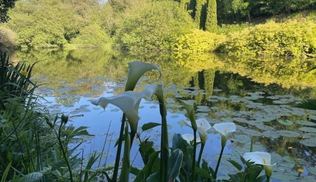 Lodge in the heart of nature