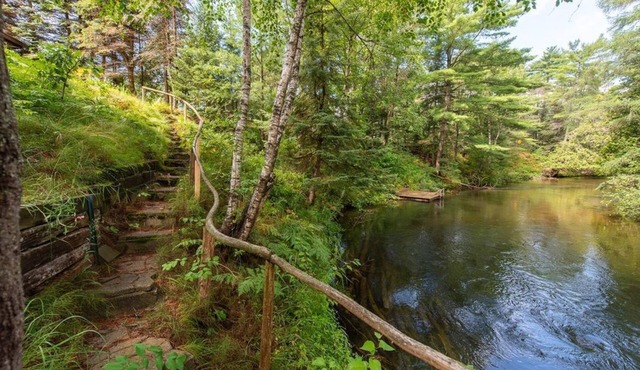 Lodge on the Manistee: Swim the Manistee | Riverfront Summer Stay