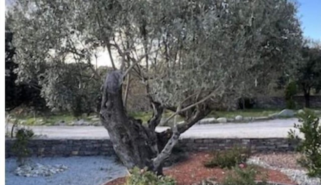 Lodge Saint Loup Pour 4 Personnes