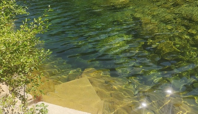 Lodge SALUTE, Lodge by the river, in the heart of nature