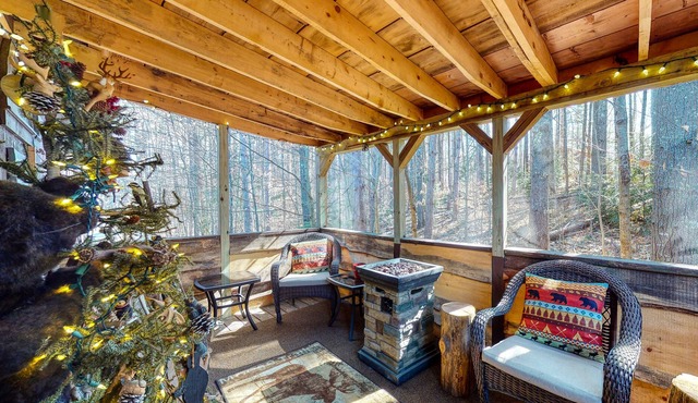 Lodge-style cabin with fireplace, screened porch, washer/dryer, cable, & WiFi