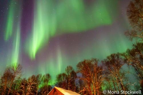 Lodge Suites at Susitna River Lodge