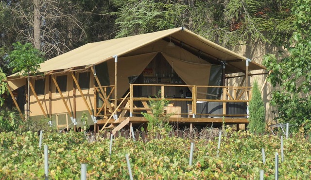 LODGE TENT SAFARI SYRAH