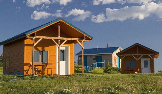 Lodgepole Gallery