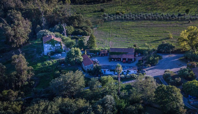 Lodging for 12 people with swimming pool in the heart of a wine-growing estate
