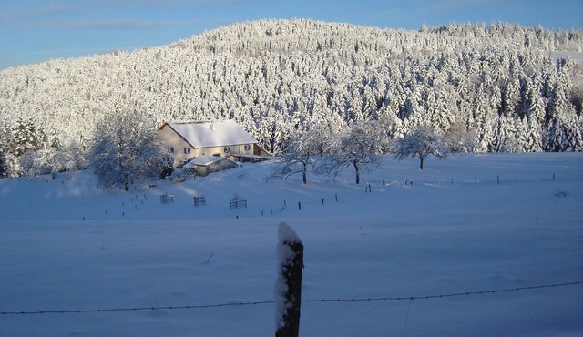 Lodging in the heart of nature between forests and meadows