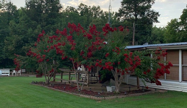 Lodging on Reelfoot Lake Upper Blue Basin at The Bayou Bungalow