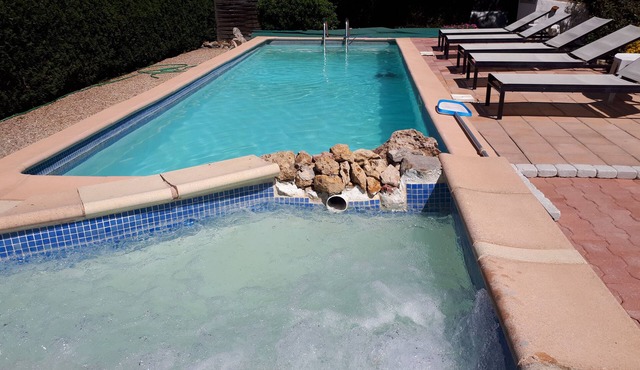 lodging the rosemary: implanted in a green frame under the sun of midday.