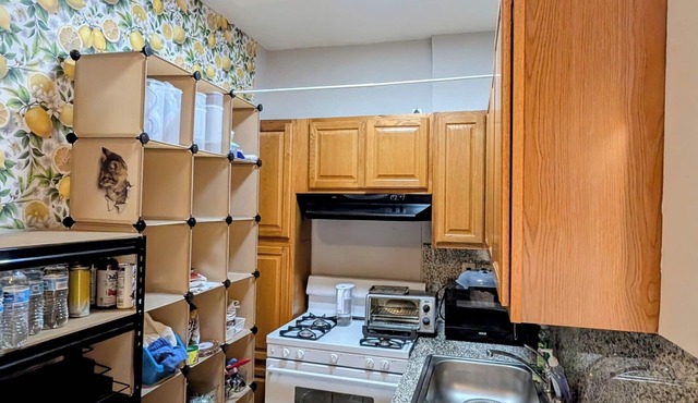 Loft apartment in charming downtown Silicon Valley. Restaurant Paradise.