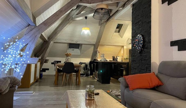 Loft avec jardin