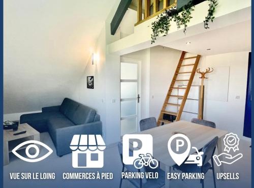 Loft avec Mezzanine - Vue Loing - Commerces à pied