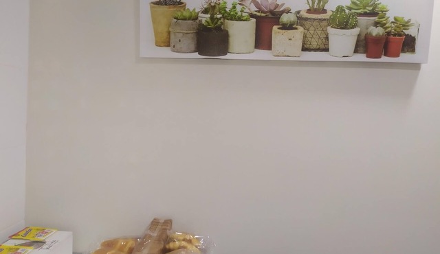 LOFT BEGONIA CORDOBA STATION