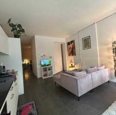 LOFT by Messe Basel with a Garden and 24h Service
