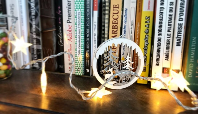 LOFT direct access to Lille hypercentre, 24/7 entry