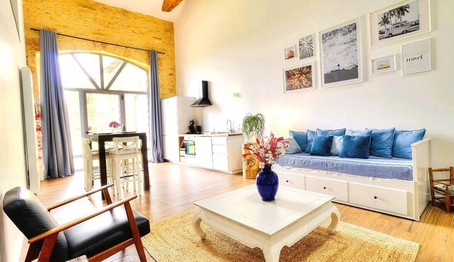 Loft in the heart of the vineyards in a former Chai dating from 1815