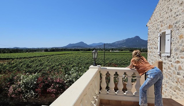 Loft L'appartement du Vigneron