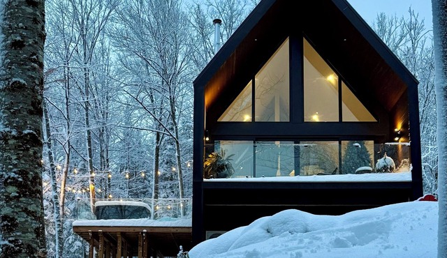 Loft Retreat on 24 acres with waterfall and hot tub