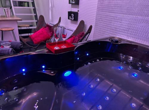 loft SPA nature et détente