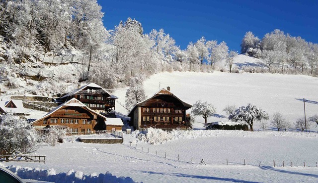 Loft under the old beams of the historic chalet