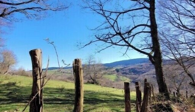 Loft Via Nova, 4/5 pers. 65 m²