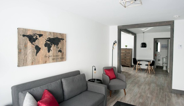 Loft with bed and sofabed in the city centre (Le Court-toit)