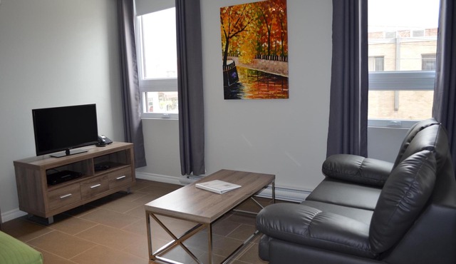 Loft with bed and sofa bed on the rue Principale (Le Chic-urbain)