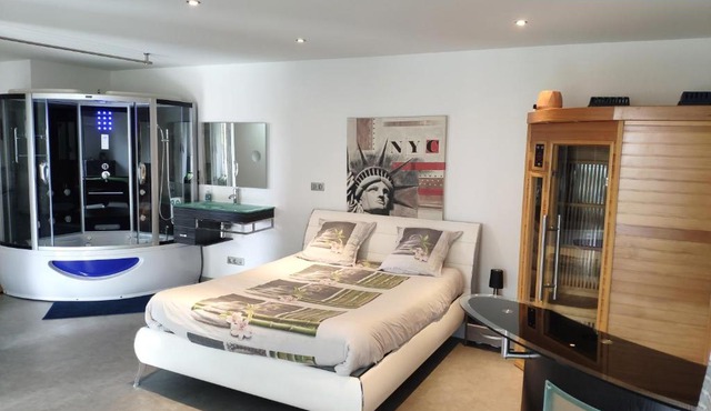 Loft Zen SPA Balneo Parking Gratuit Sauna Hammam Billard