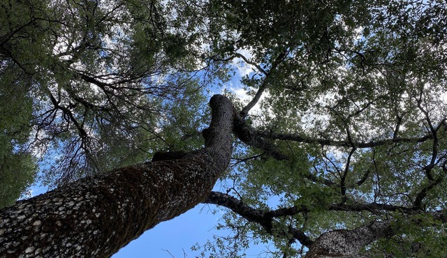 Lofty Haven with Panoramic Country View