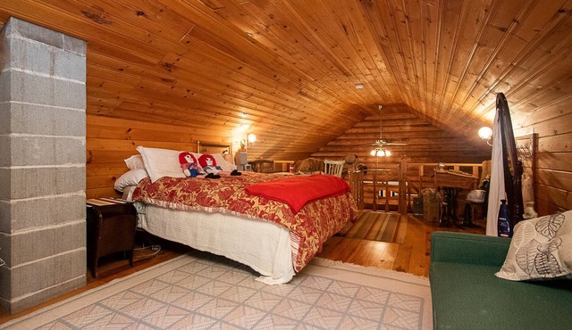 Log Cabin - 7 acres off the grid