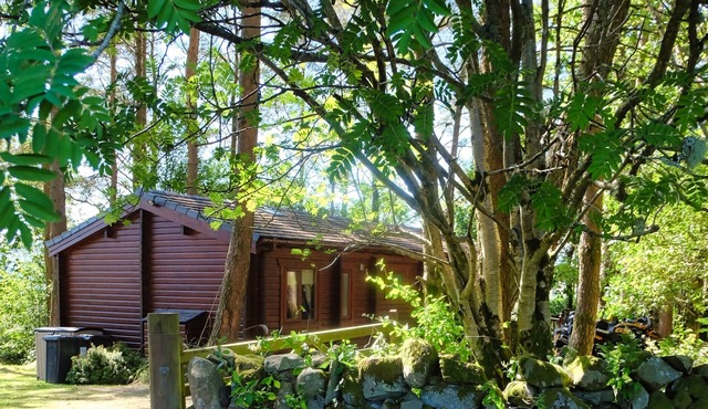 Log Cabin in Glorious Dumfries and Galloway