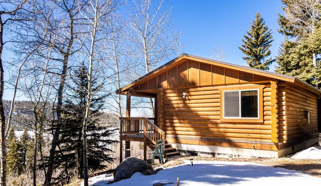 Log cabin in the National Forest, full restaurant/bar on site, near ski lift.n