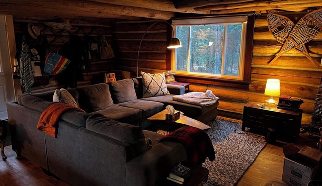 Log Cabin in the Woods STR-2025-195
