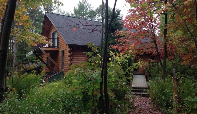 Log Cabin In the Woods