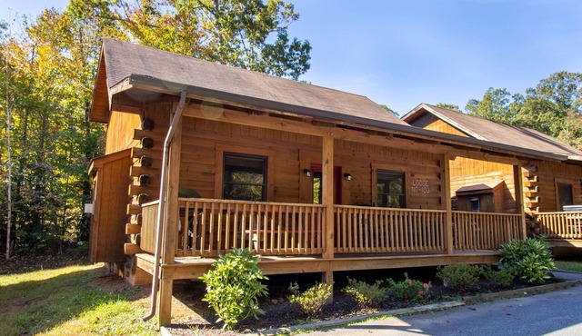 Log Cabin Multi Lvl Queen Wilderness Presidential