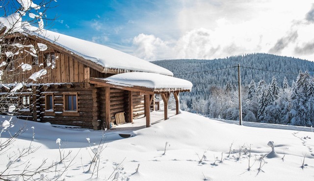 Log cabin near Gérardmer - 9 persons/SPA