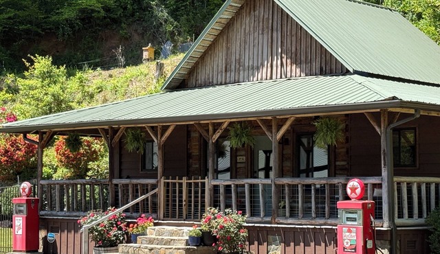 Log Cabin near NC Wine Trail & Public Fishing - Pet Friendly