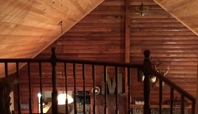 Log Cabin near Ocala and World Equestrian Center ideal for family retreats.