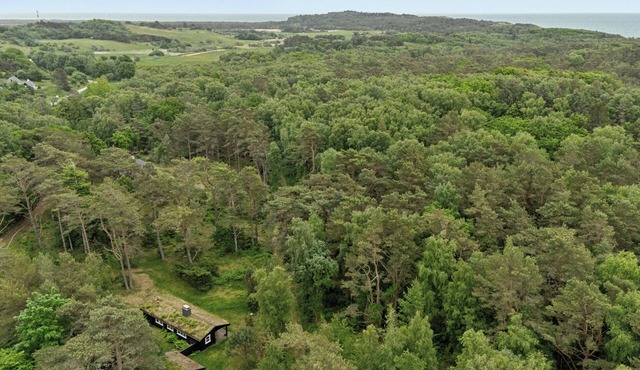 Log cabin near Vesterstrand on Anholt